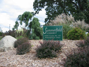 Summerfield sign